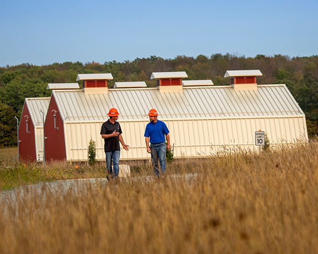 workers in grass field