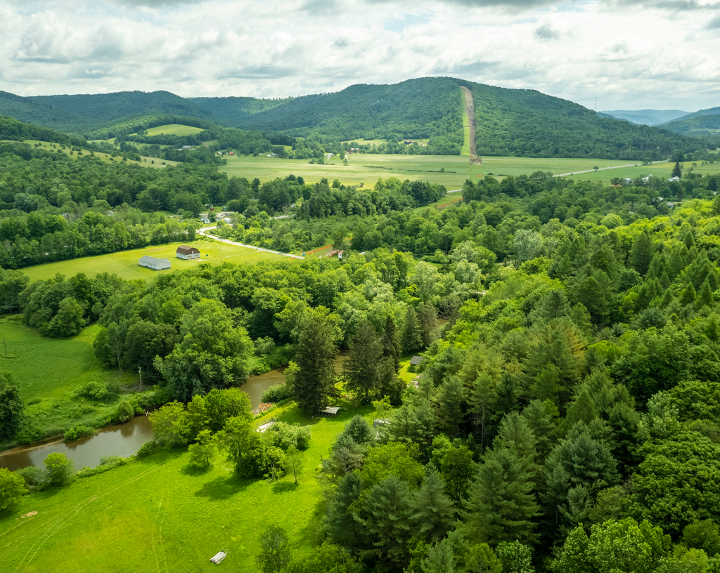 paysage avec des arbres