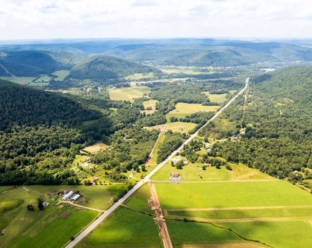 aerial view of trees and roads