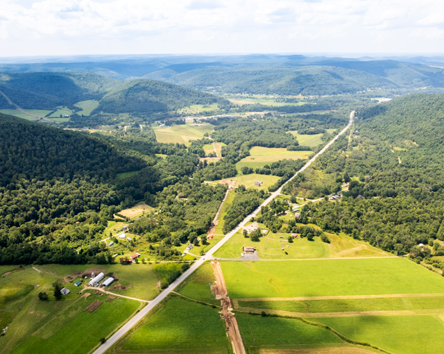 vue aérienne des arbres et des routes