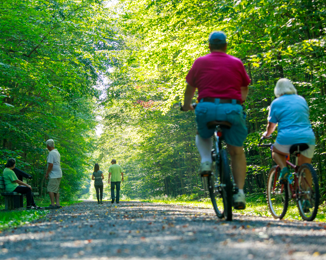people riding bikes and walking on a nature trail
