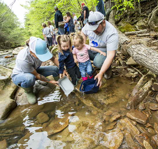 https://www.nationalfuel.com/wp-content/uploads/2023/09/05-Mansfield-Trout-Release-2-1.png